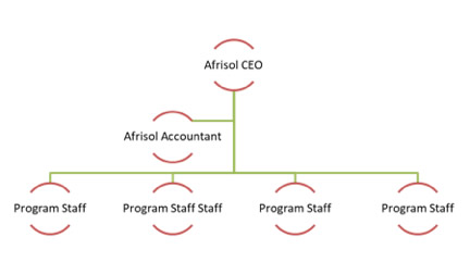 Management Structure – Afrisol Consult